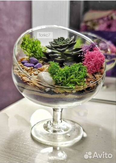 Флорариум для дома и дачи