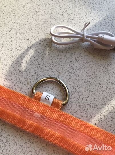 Ошейник светящийся