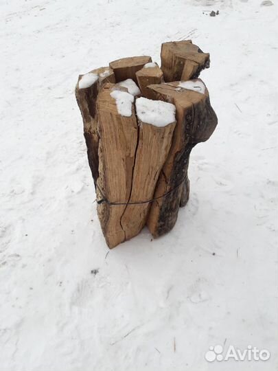 Дрова дубовые