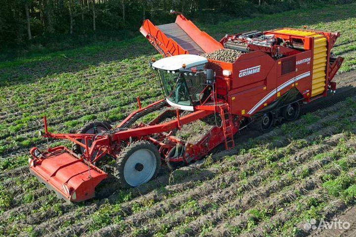 В разборе Grimme