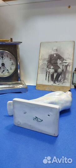 Сокол Голубь Птица Сотников Дулево