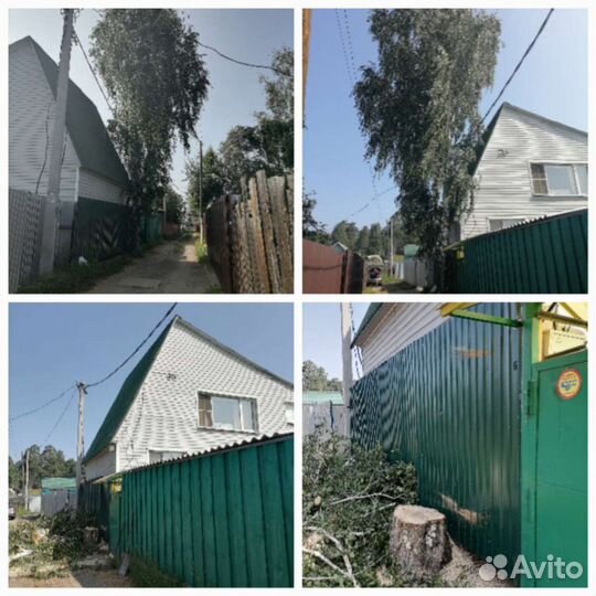 Спил деревьев