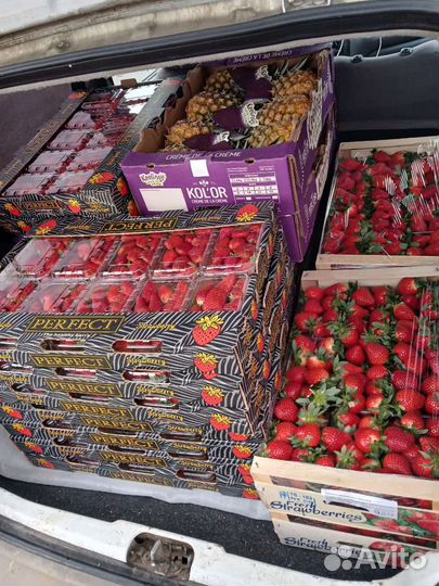 Клубника свежая оптом