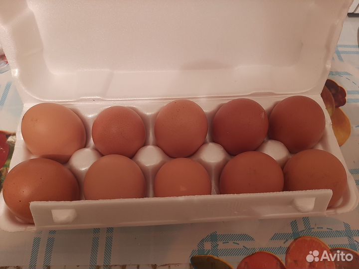 Домашние куриные яйца