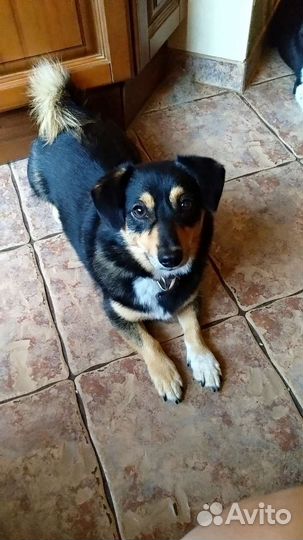 Великолепная мелкая девочка