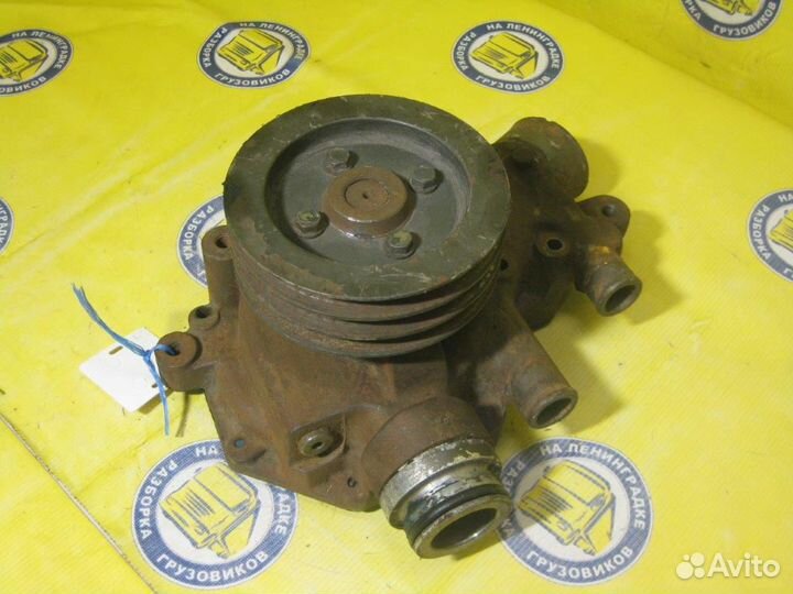 Насос охлаждающей жидкости (помпа) 0683225 DAF, 95