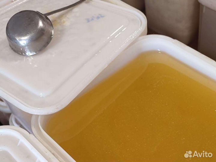 Алтайский мед 2023 опт