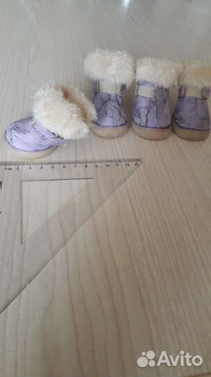 Ботиночки для маленькой собачки