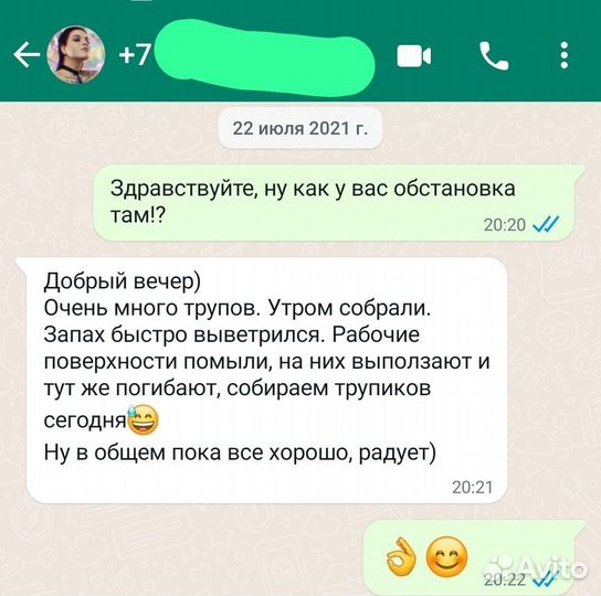 Уничтожение клопов избавиться от тараканов