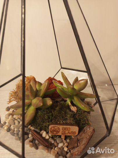Флорариум Капля мини с суккулентом