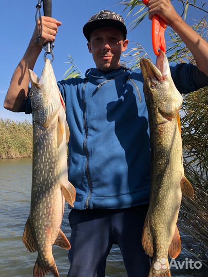 Рыбалка с гидом в Астрахани