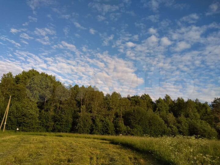 Участок 14 сот. (СНТ, ДНП)