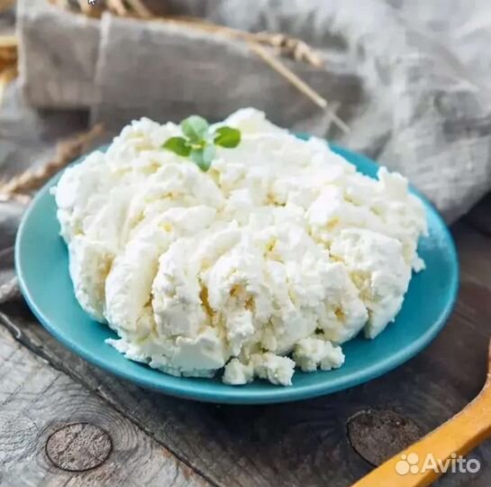 Творог для животных