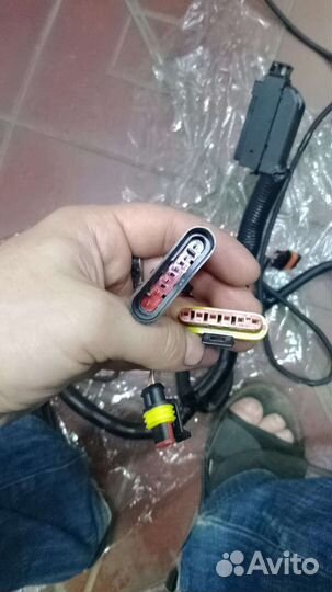 Жгут проводов Газель 4216дв