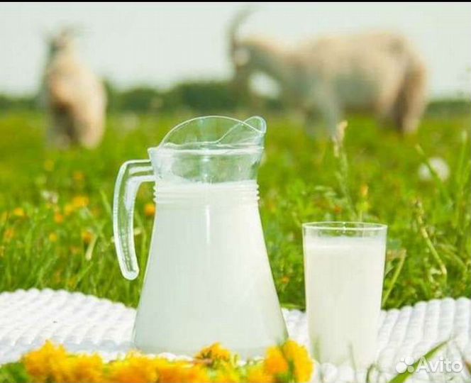 Козье молоко