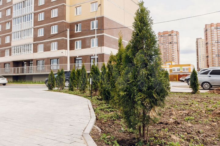 1-к. квартира, 46,8 м², 11/22 эт.