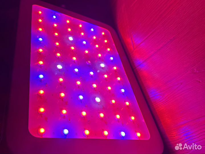 Фитолампа 300w