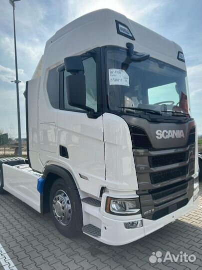 Scania R460, 2024