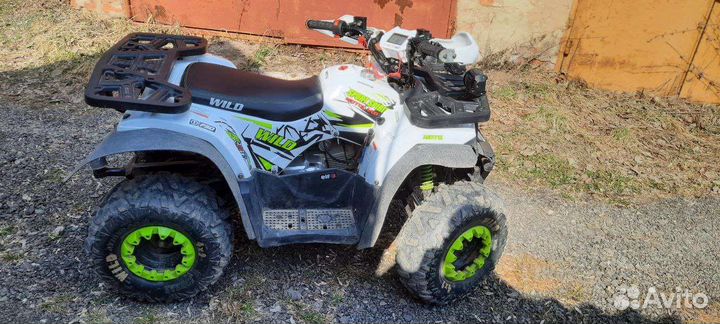 Motoland Wild Basic 125