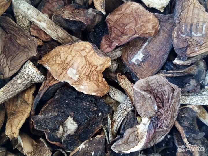 Грибы сушеные