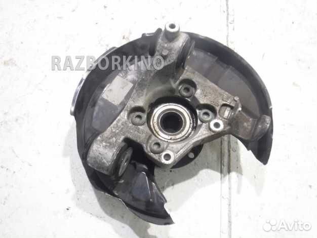 Кулак задний левый