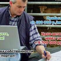 Инвестиции в сельхоз бизнес, Киев