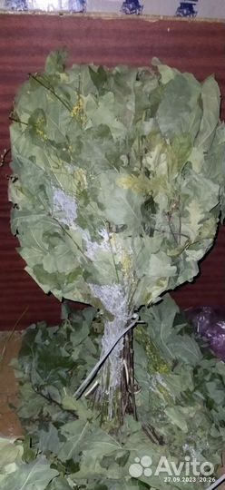 Дубовые веники для бани с травами