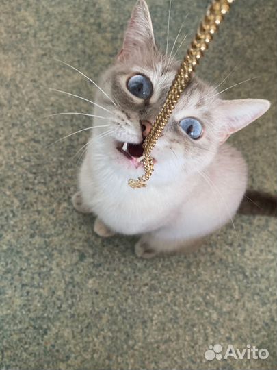 Вязка