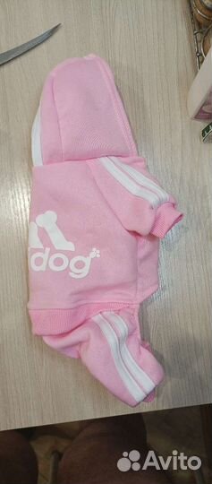 Одежда для собак мелких пород