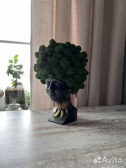 Кашпо из стабилизированного мха 