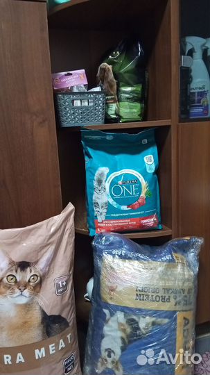 Корм для кошек