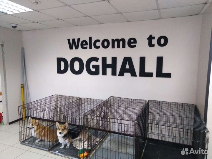 Изделия из пенопласта