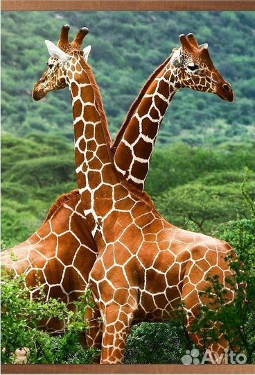 Электрообогреватель настенный до 