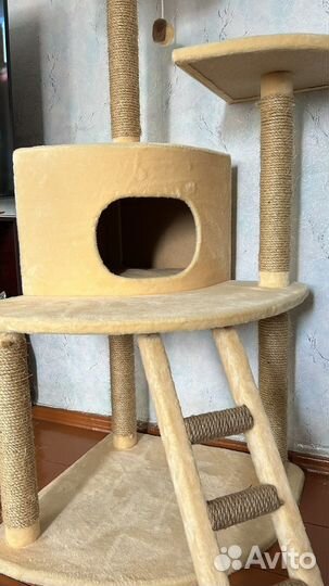 Домик для кошки с когтеточкой б/у