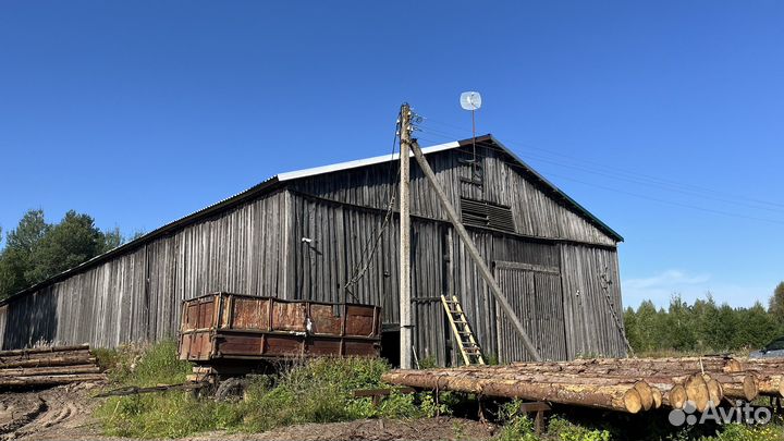 Лесопильное производство (пилорама)
