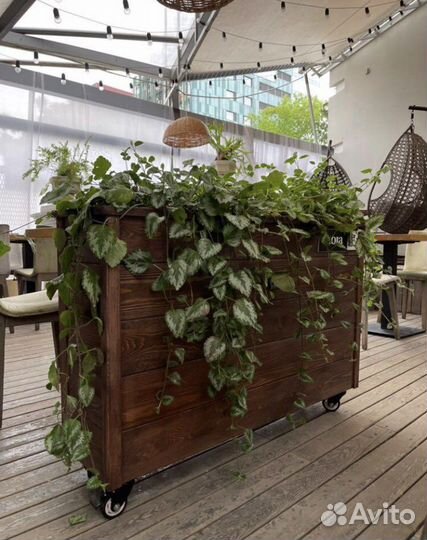 Кашпо, деревянный ящик, мебель для террасыя