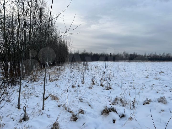 Участок 6,3 сот. (СНТ, ДНП)