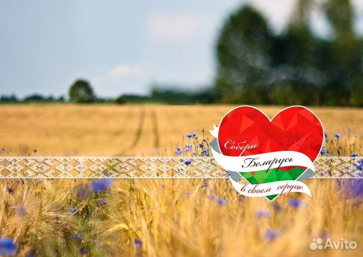 Доставка, выкуп в Беларуси, Байер, Помощник