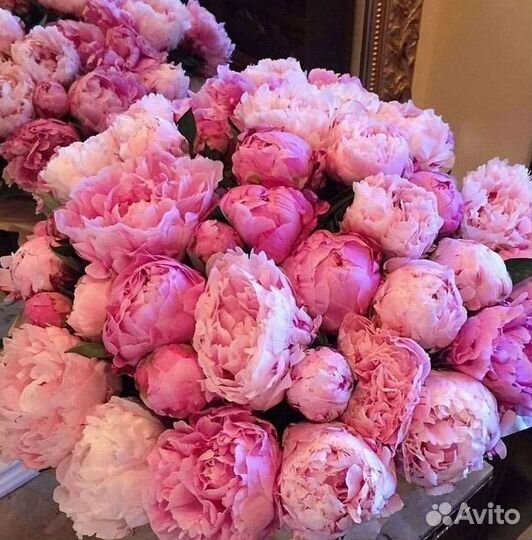 Пионы Букет