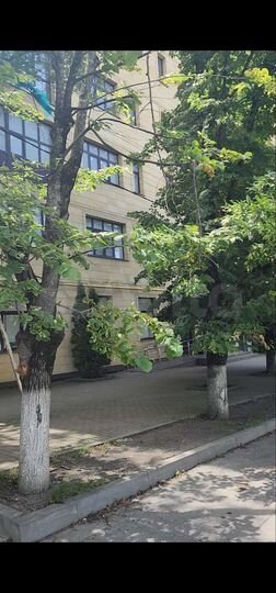 Офис, 315.8 м²