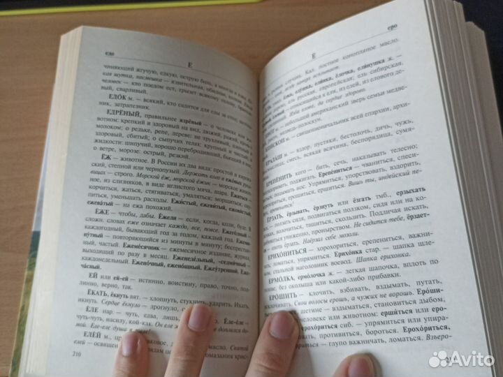Толковый словарь Даля