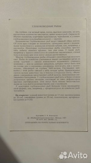 Природа после захода солнца. Обитатели темноты