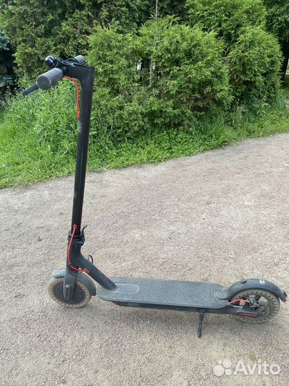 Самокат xiaomi m365 pro