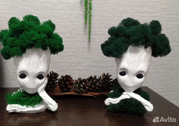 Кашпо со мхом