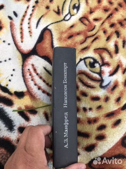 Кига А.З Манфред Наполеоне Бонапард