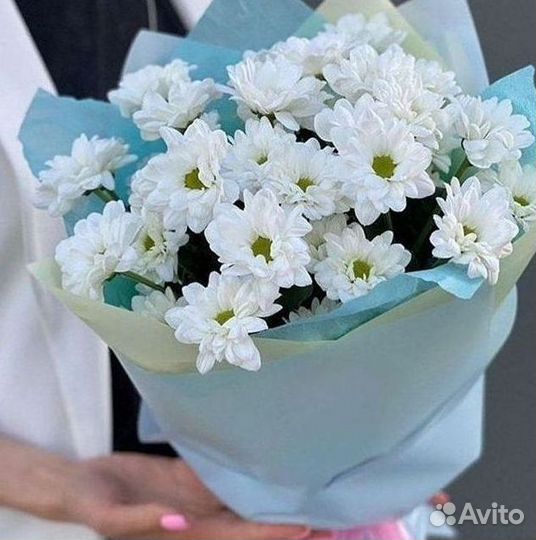 Доставка букетов и цветов. Хризантема