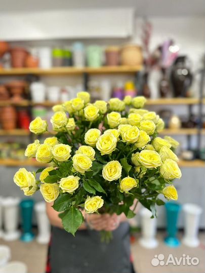 Кустовая роза:Свежее поступление