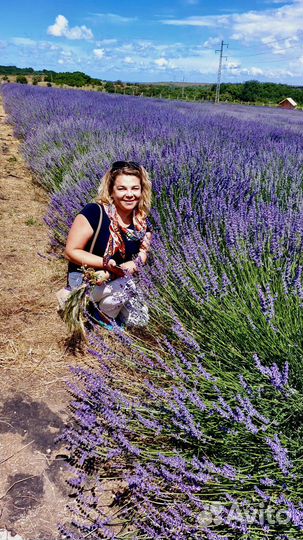 Экскурсии по Крыму и Севастополю