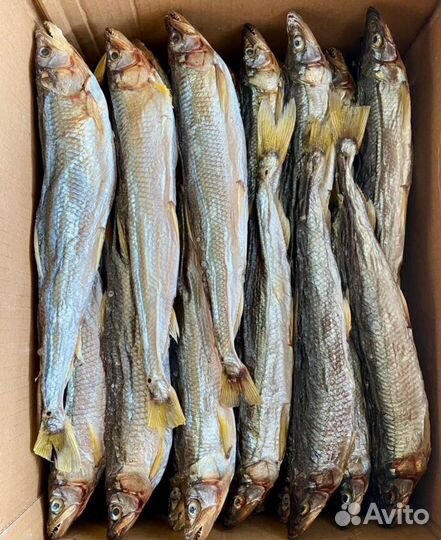 Копченая и вяленая рыба