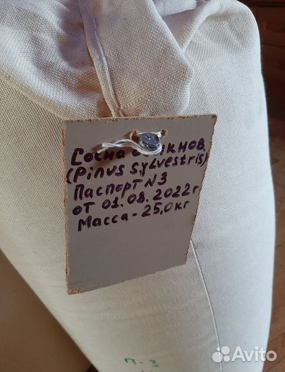 Доставка семян ели